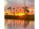 Tranquil sunset over the river, framed by silhouetted palm trees, painting a serene and picturesque scene at 6183 Waverly Rd, Weeki Wachee, FL 34607