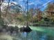 Scenic view of a clear spring river with trees and roots along the bank at 6183 Waverly Rd, Weeki Wachee, FL 34607