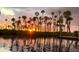 Tranquil waterfront sunset with palm trees reflecting in the calm water at 6183 Waverly Rd, Weeki Wachee, FL 34607