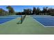 The community tennis court awaits with lush green and blue surfaces at 6533 Spring Flower Dr # 15, New Port Richey, FL 34653