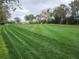 View of a meticulously maintained golf course showcasing vibrant green grass and mature trees in a peaceful setting at 7106 Green Abbey Way, Spring Hill, FL 34606