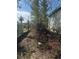 Backyard, featuring natural elements and flora, requires landscape maintenance and improvement at 7278 Lamplighter St, Spring Hill, FL 34606
