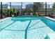 Inviting pool with shallow tanning ledge and lush plants create a private outdoor oasis at 2830 Dudley Ave, Odessa, FL 33556