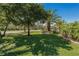 Landscaped backyard featuring verdant lawn, palm trees, shrubbery, and golf course view at 370 Tall Oak Trl, Tarpon Springs, FL 34688