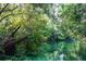 Beautiful clear river with lush green vegetation and trees at 6448 W Richard Dr, Weeki Wachee, FL 34607