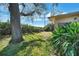 The backyard features a large tree, lush greenery, and well-maintained lawn at 8420 Winding Wood Dr, Port Richey, FL 34668