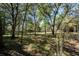 Picturesque backyard scene with mature trees, partial fencing, and a shed, creating a peaceful outdoor space at 9382 Wild Horse Trl, Brooksville, FL 34601