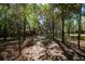 Beautiful backyard featuring mature trees, partial fencing, and a serene view, perfect for outdoor enjoyment at 9382 Wild Horse Trl, Brooksville, FL 34601