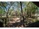 Lush backyard featuring mature trees, partial fencing, and a serene view, perfect for relaxation and privacy at 9382 Wild Horse Trl, Brooksville, FL 34601