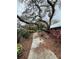 Beautifully landscaped pathway featuring mature trees, lush plants, and vibrant foliage at 11121 Linkside Dr # 11121, Port Richey, FL 34668