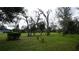 Expansive backyard with lots of trees and green grass at 12816 Wedgewood Way # D, Hudson, FL 34667