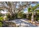 View of a brick-paved area in front of lush landscaping with a large shade tree overhead at 2224 Sand Bay Dr, Holiday, FL 34691