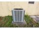 Close up of home's air conditioning unit, outside on concrete pad, surrounded by small plants at 29341 Rhodin Pl, Wesley Chapel, FL 33545