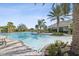 Resort-style pool surrounded by palm trees and comfortable lounge chairs at 4142 Montegrappa Way, Wesley Chapel, FL 33543