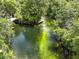 River view showcasing boat docks on the beautiful, clear river lined with green trees at 6090 Waverly Rd, Weeki Wachee, FL 34607