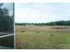 Scenic view overlooking expansive backyard with lush greenery and distant wooded area at 6393 Pinehurst Dr, Spring Hill, FL 34606