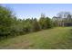 Well-maintained backyard with natural landscaping, offering privacy and tranquility at 8373 Maybelle Dr, Weeki Wachee, FL 34613