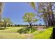 Scenic view of the lush green Timber Greens golf course with mature trees and a blue sky backdrop at 9634 Green Needle Dr, New Port Richey, FL 34655