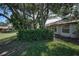 Lush backyard with mature trees, greenery, and well-manicured lawn at 9713 Sweeping View Dr, New Port Richey, FL 34655