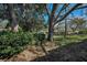Well-maintained backyard featuring mature trees providing ample shade on a bright, sunny day at 9713 Sweeping View Dr, New Port Richey, FL 34655