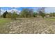 Spacious, grassy backyard featuring mature trees at 13140 Maycrest Ave, Weeki Wachee, FL 34614