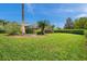 Well-manicured backyard with lush landscaping, mature trees, and green grass at 2336 Edelweiss Loop, Trinity, FL 34655