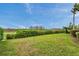 Green backyard lawn with lush privacy hedges and an open sky at 2336 Edelweiss Loop, Trinity, FL 34655