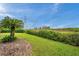 Lush green backyard with a privacy hedge and mature trees, perfect for outdoor enjoyment at 2336 Edelweiss Loop, Trinity, FL 34655