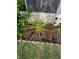 A beautiful landscaping featuring a pineapple plant with a pineapple growing at 36312 Toranado Way, Zephyrhills, FL 33541