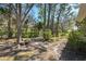 Landscaped backyard featuring mature trees, green shrubs, and natural mulch at 5492 Legend Hills Ln, Spring Hill, FL 34609