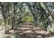 Scenic walking path through a wooded area with a visible horizon at the path's end at 6035 Sea Ranch Dr # 408, Hudson, FL 34667