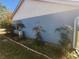 Garden bed with several manicured trees located next to the light blue, single-story house at 7125 Silverwood Dr, New Port Richey, FL 34654