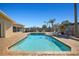Backyard pool with lush palm trees, lounge chairs, and a brick patio area, perfect for entertaining at 7901 Willow Brook Ct, Hudson, FL 34667