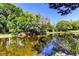 Scenic view of a pond surrounded by lush trees, creating a tranquil setting at 9925 Whitworth Ct, New Port Richey, FL 34655