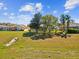The backyard has mature trees and lawn at 10285 Velvetseed Cir, Spring Hill, FL 34608