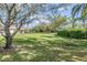 Lush green backyard with mature trees offering plenty of shade, enhancing the serene and private outdoor space at 11545 Weaver Park Ct, Trinity, FL 34655