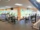 Bright fitness center with treadmills, elliptical, and weight machines at 11545 Weaver Park Ct, Trinity, FL 34655