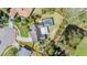 Aerial view of property lines, screened pool, well-maintained lawn, and mature trees at 12215 Snead Pl, Tampa, FL 33624