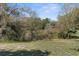 Open, grassy backyard surrounded by some natural vegetation at 1267 Meredith Dr, Spring Hill, FL 34608