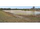 Scenic view of a tranquil pond with lush vegetation lining the water's edge at 18317 Treehaven Dr, Hudson, FL 34667