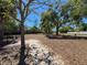 Dog park area with mature shade trees offers a comfortable outdoor space for pet owners at 7215 121St Ter, Largo, FL 33773