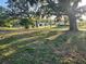 Expansive front yard with large trees providing ample shade at 10803 Hachita Dr, Port Richey, FL 34668