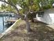 Backyard showcasing a lovely tree, proximity to the canal, and boat dock at 13610 Claudia Dr, Hudson, FL 34667