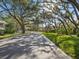 Street view featuring lush green trees providing a tranquil and inviting environment for residents at 1870 Whispering Way, Tarpon Springs, FL 34689