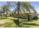 Expansive backyard with lush green grass and mature palm trees providing ample shade at 8231 Palencia Dr, Port Richey, FL 34668