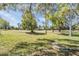 This large backyard view features expansive green space with mature trees at 9144 Bassett Ln, New Port Richey, FL 34655