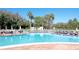 Large outdoor swimming pool with lounge chairs surrounded by lush landscaping at 9144 Bassett Ln, New Port Richey, FL 34655