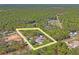 Aerial view of property shows a serene wooded location and spacious lot with a property line overlay at 13045 Marbled Godwit Rd, Weeki Wachee, FL 34614