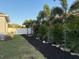 Landscaped backyard featuring privacy fence and lush palms for an attractive outdoor living space at 1436 Gopher Loop, Tarpon Springs, FL 34689