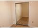 Bedroom closet with mirrored sliding doors and modern flooring at 2568 W Brook Ln, Clearwater, FL 33761